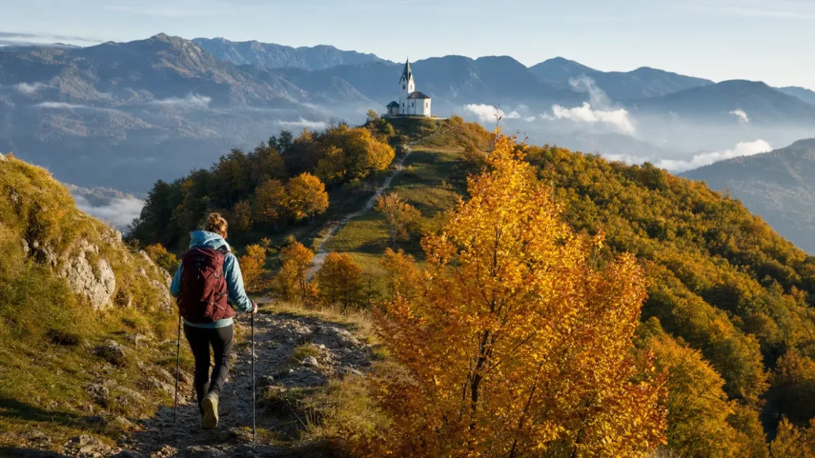 Sončna in topla jesenska pokrajina z obarvanim drevjem v Sloveniji