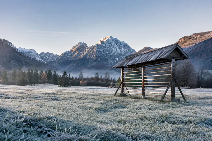 Sveže jutro s slano na prvi jesenski dan v alpski dolini